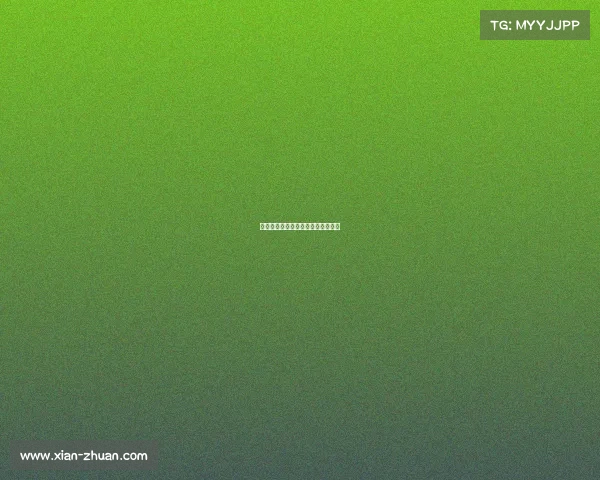 体育赛事新篇章：数字竞技拉开战幕